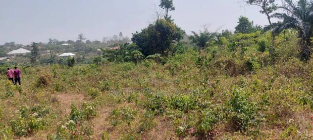 Plot of Land With Gurnue Documents for Sale · Photo 7