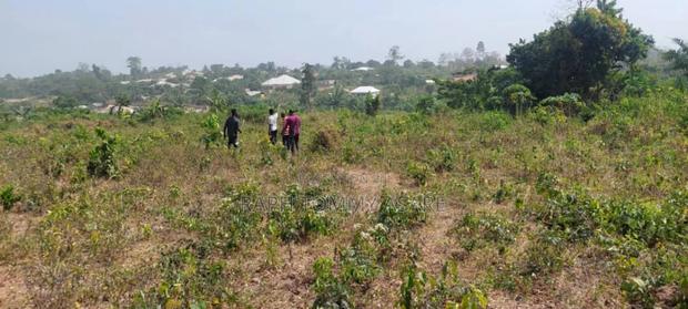 Plot of Land With Gurnue Documents for Sale · Photo 8