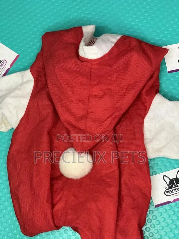 Toy Dog Clothings Series 047 · Photo 1