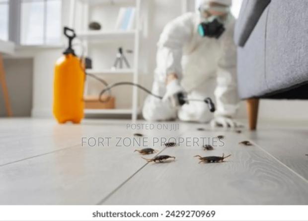 No More Pest Fumigation and Disinfection · Photo 1