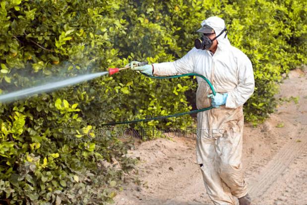No More Pest Fumigation and Disinfection · Photo 2