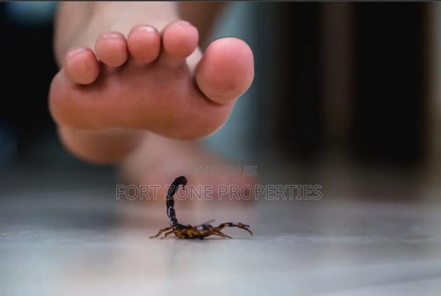Pest Remedy With Cleantex · Photo 2