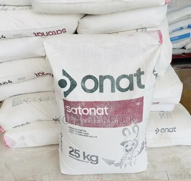 Skimming Powder - 25kg (Satonat) · Photo 1