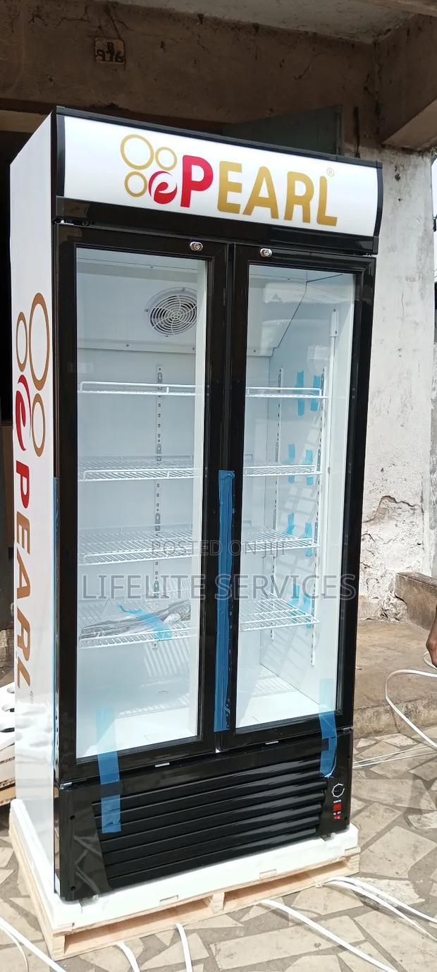 528 Litres Fridge Pearl Display (4 Bars/Restaurants) · Photo 1