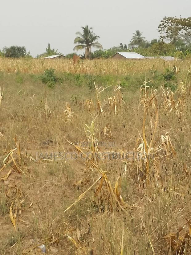 Farmland for Sale · Photo 2