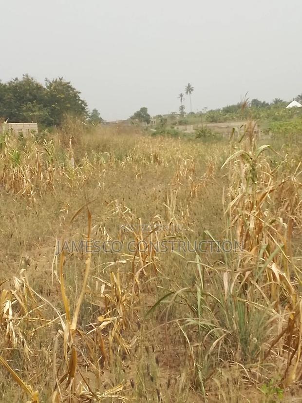 Farmland for Sale · Photo 3