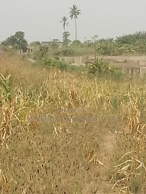 Farmland for Sale · Photo 4