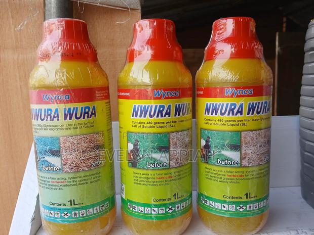 Nwura Wura · Photo 1