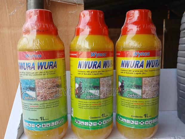 Nwura Wura · Photo 2
