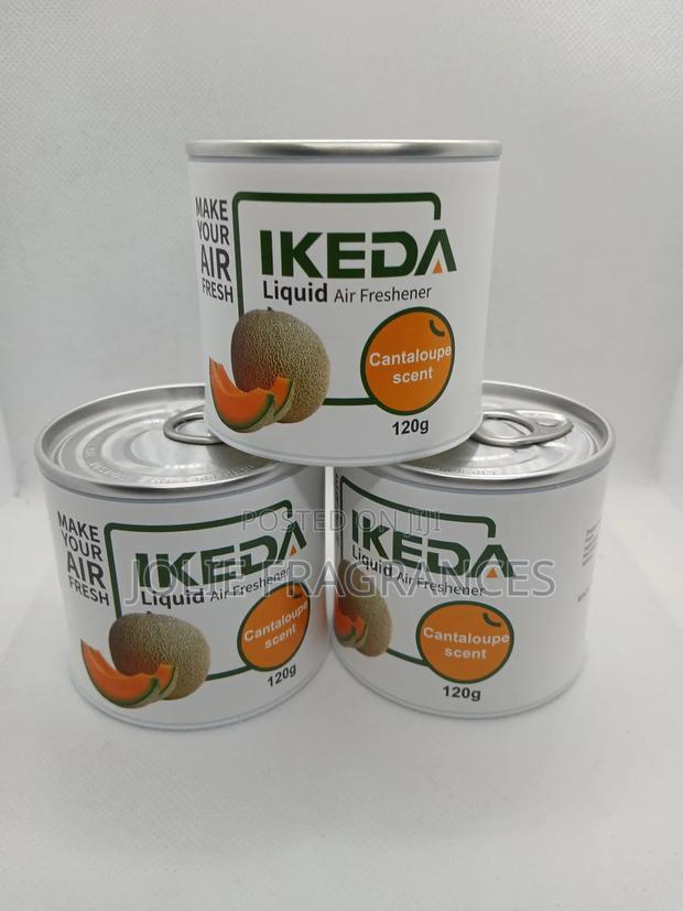 Ikeda Air Freshener (120ml) Wholesale Only (12 PCS Minimum) · Photo 7
