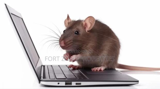 Daily Pest Treatment · Photo 2