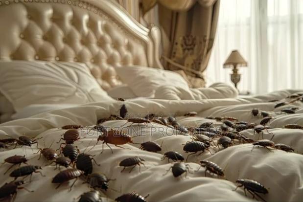 Pest Removal With Cleantex · Photo 1