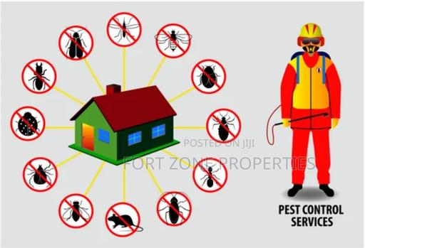 Pest Removal With Cleantex · Photo 2