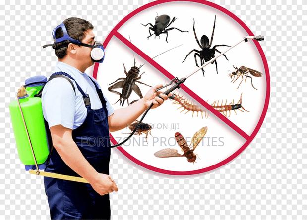 Pest Terminators From Homes,Hotels,Warehouses,Factories Etc · Photo 2