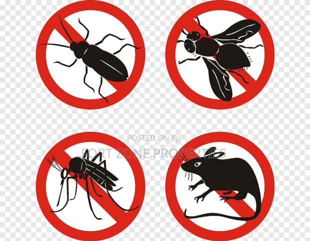 Pest Terminators From Homes,Hotels,Warehouses,Factories Etc · Photo 3