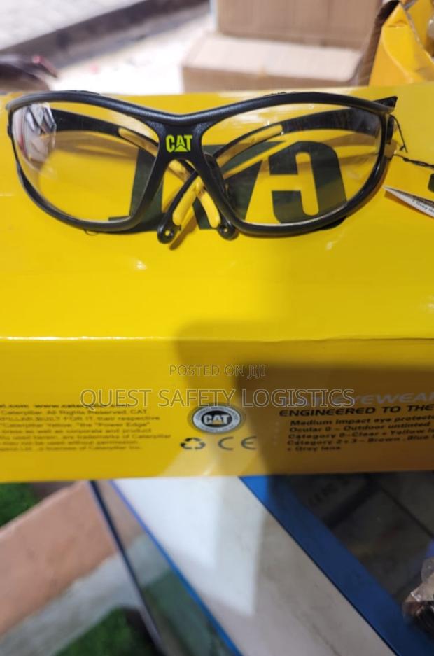 Cat Clear Goggles · Photo 1