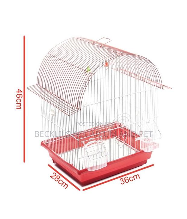Birdcages for Domestic Cannery · Photo 1