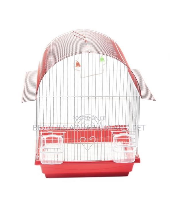 Birdcages for Domestic Cannery · Photo 2