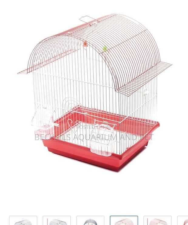 Birdcages for Domestic Cannery · Photo 3