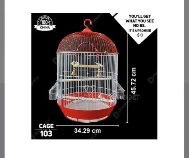Birdcage for White -Crowns Parrot · Photo 5