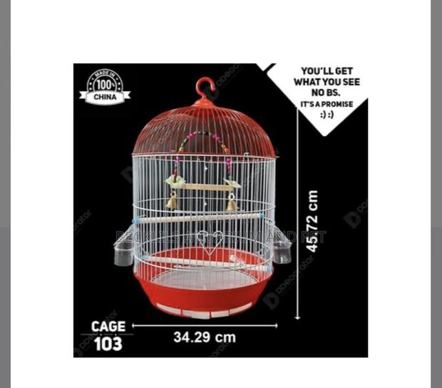 Birdcage for White -Crowns Parrot · Photo 4
