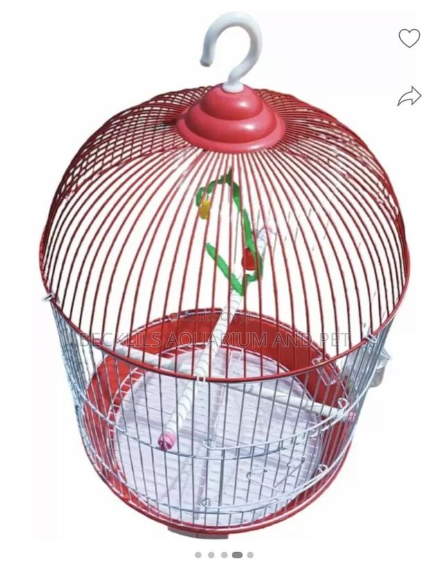 Birdcage for White -Crowns Parrot · Photo 1