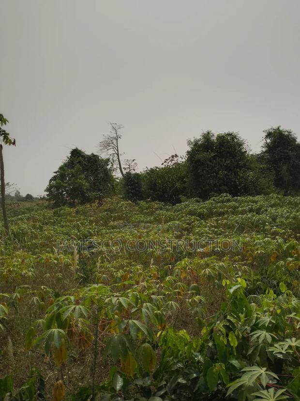 Residential Lands for Sales · Photo 2