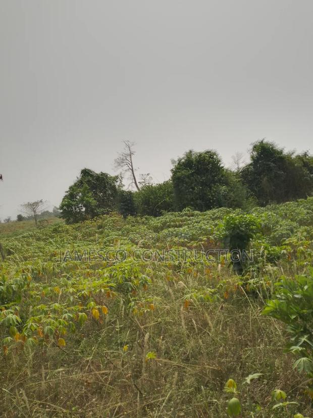 Residential Lands for Sales · Photo 3
