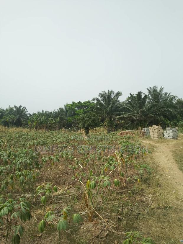 Residential Lands for Sales · Photo 4