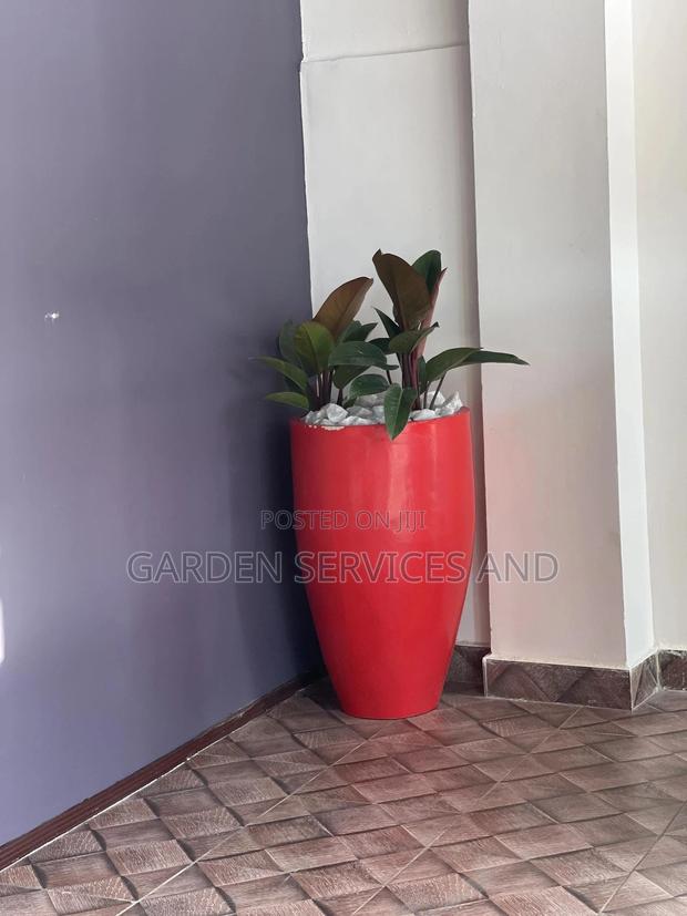 Beautiful Flowers Available for Your House and Offices · Photo 3