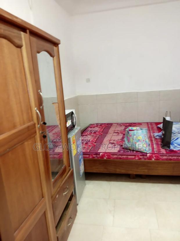 Exquisite Furnished 1 Bedroom Apartment at Spintex · Photo 8