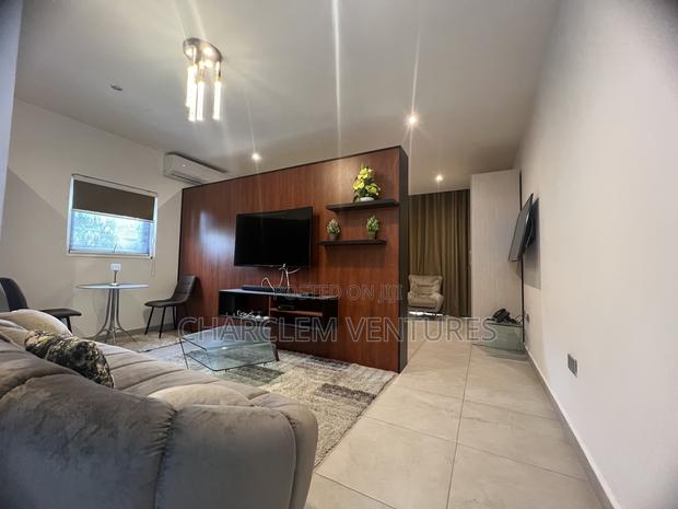 Furnished 1bdrm Apartment in Cantonment-A Few, Cantonments for sale · Photo 5