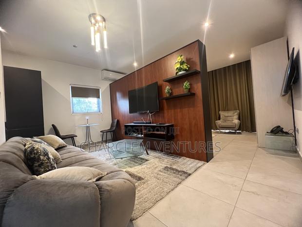 Furnished 1bdrm Apartment in Cantonment-A Few, Cantonments for sale · Photo 4