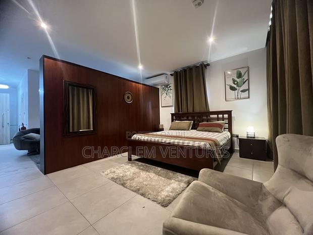 Furnished 1bdrm Apartment in Cantonment-A Few, Cantonments for sale · Photo 6