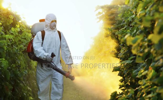 Pesticides and Insecticides Fumigation · Photo 2