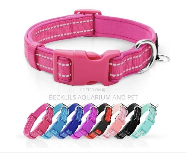 Cotton Dog Colors Available · Photo 1