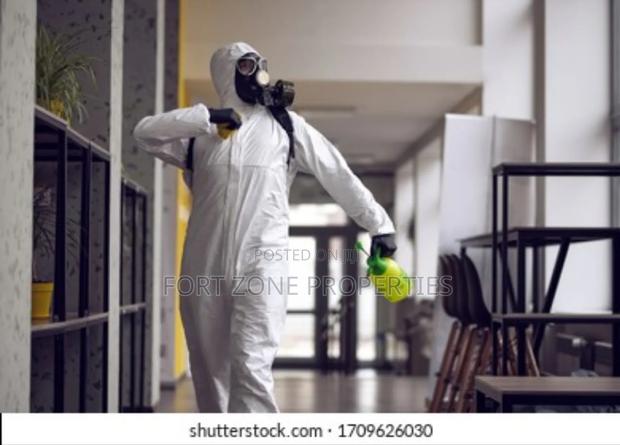First Class Fumigation Service With Cleantex · Photo 1