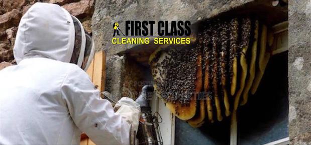 First Class Fumigation Service With Cleantex · Photo 2