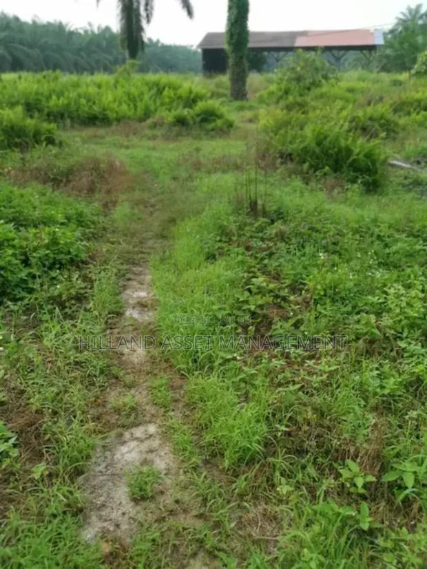 Plot of Land Forsale at Kansawurado-Mapong · Photo 2