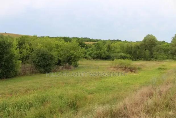 Plot of Land Forsale at Kansawurado-Mapong · Photo 3