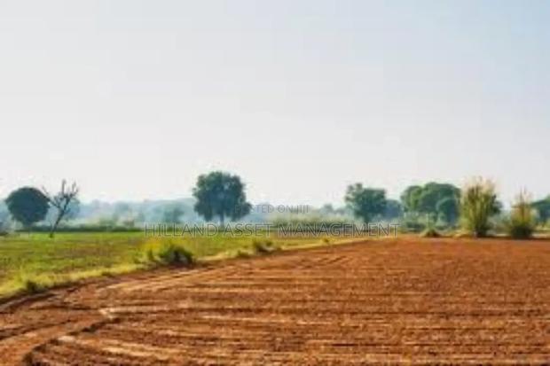 Plot of Land Forsale at Kansawurado-Mapong · Photo 5