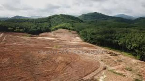 Plot of Land Forsale at Kansawurado-Mapong · Photo 6