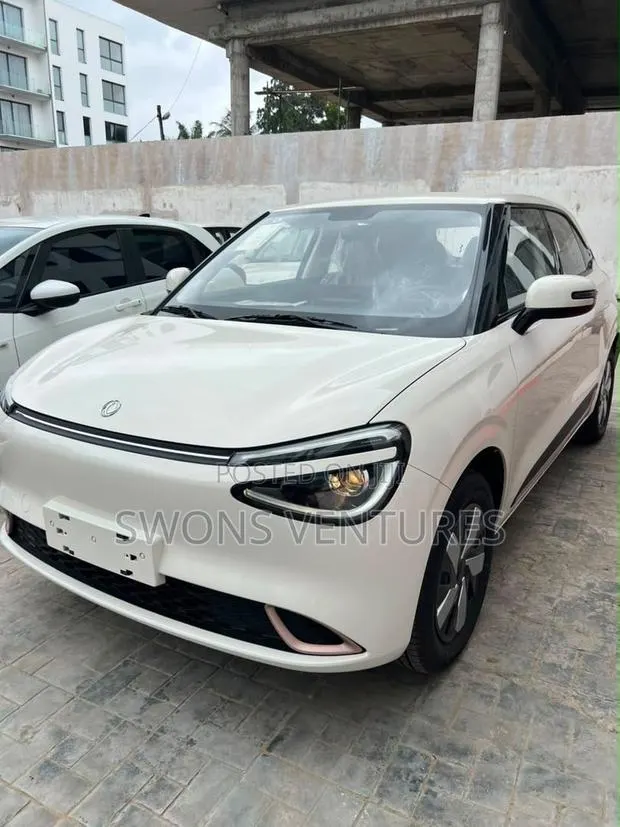 New Dongfeng Nammi 01 2025 White · Photo 1