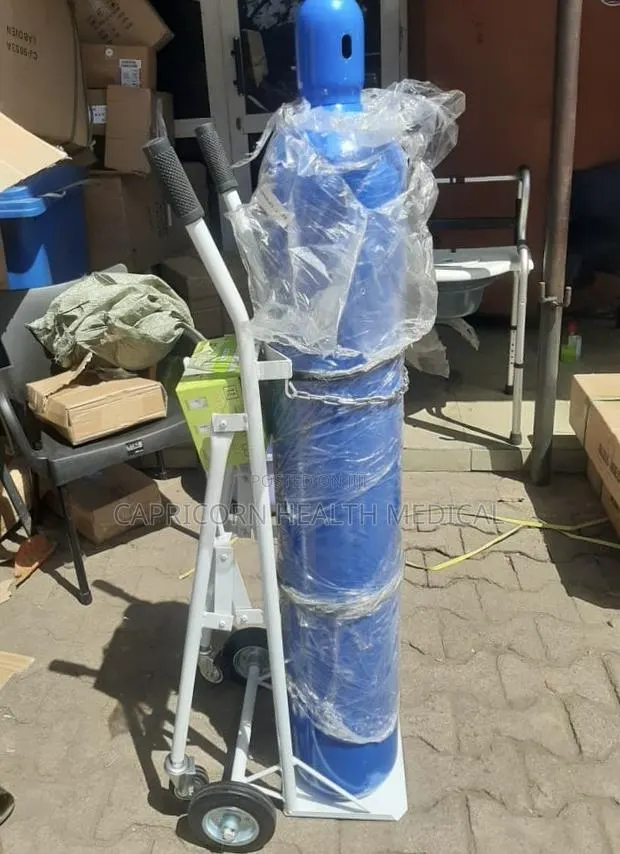 Oxygen Cylinder 40L + Flow Meter + Trolley · Photo 1