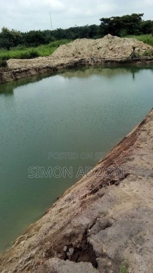 5 Acres of Farm Land for Sale · Photo 1