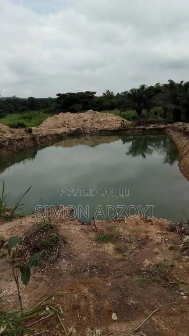 5 Acres of Farm Land for Sale · Photo 2