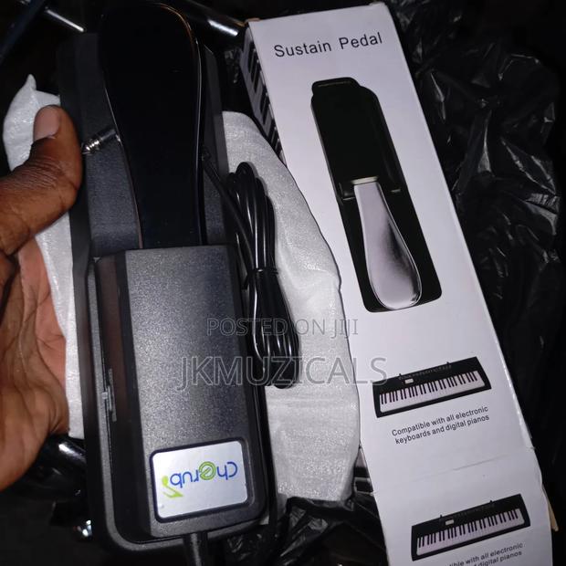 Sustain Pedal _ Universal · Photo 1