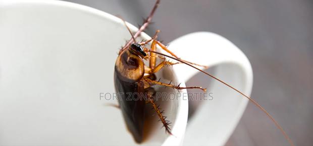 Are You Bothered With Cockroaches,Snakes,Ants Etc · Photo 1