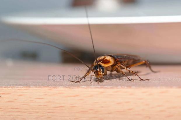 Are You Bothered With Cockroaches,Snakes,Ants Etc · Photo 2