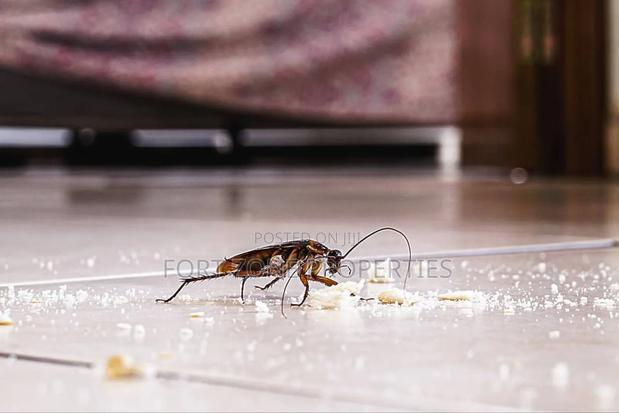 Are You Bothered With Cockroaches,Snakes,Ants Etc · Photo 3